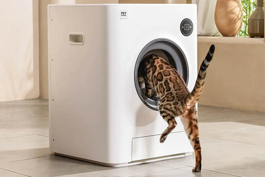 self cleaning litter box review